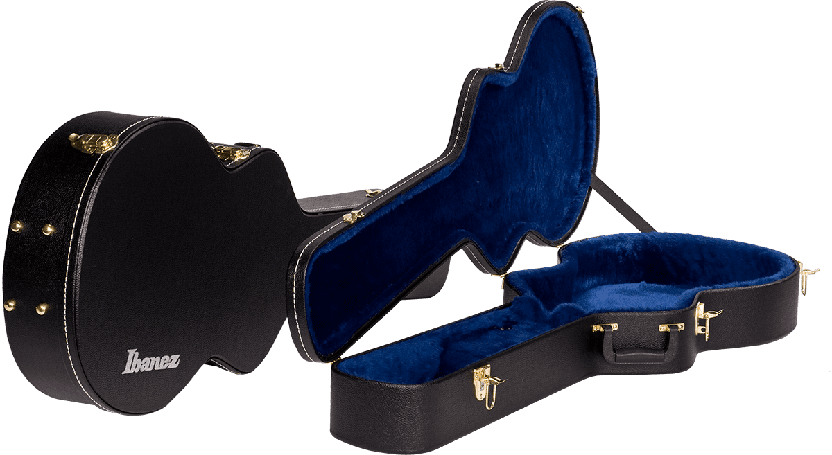 Ibanez AM100C Hard Shell Case for AM & AGS Models